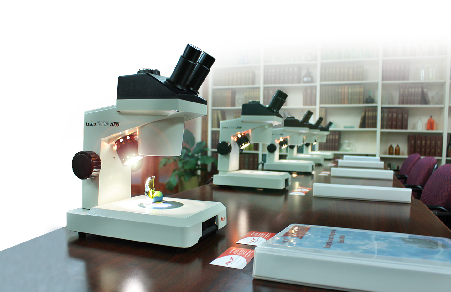 Glass Training Seminars