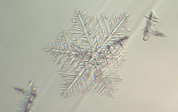 Snowflake