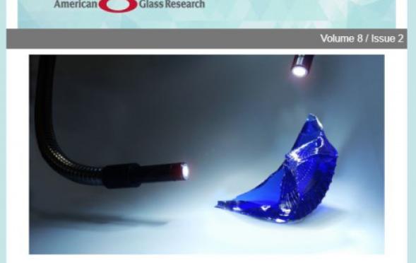 AGR Fracture Diagnosis Case Studies to be shared