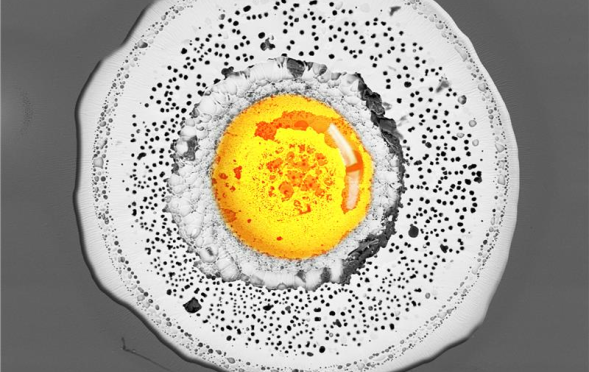 Fried Egg Glass Contaminant 